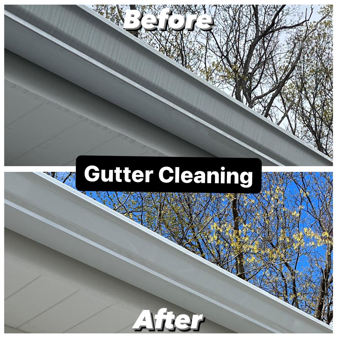 Gutter Cleaning