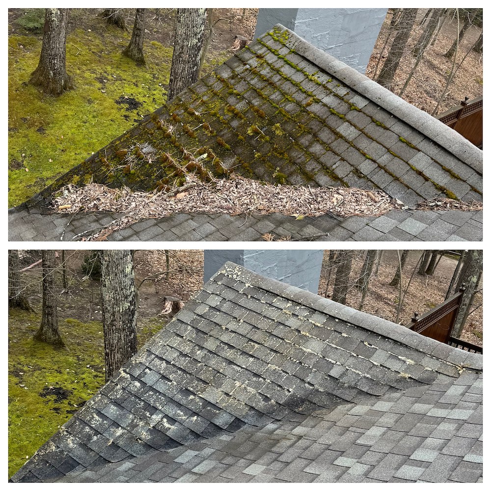 Moss-Free Majesty: Expert Roof Cleaning and Moss Removal Services