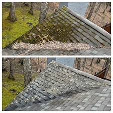 Moss-Free-Majesty-Expert-Roof-Cleaning-and-Moss-Removal-Services 0