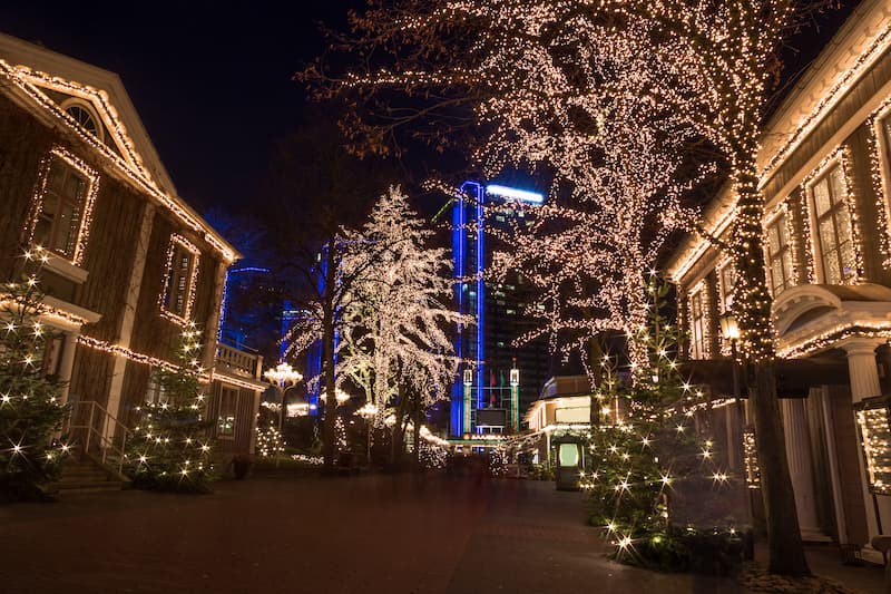 Christmas Light Installation